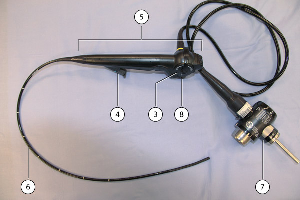 Bronchoscope (video)