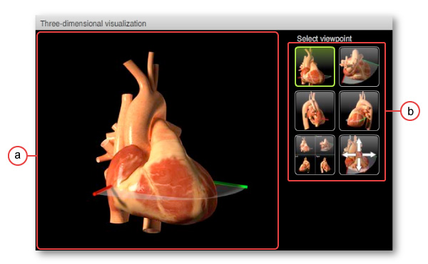 figure 1:three dimensional visualization section