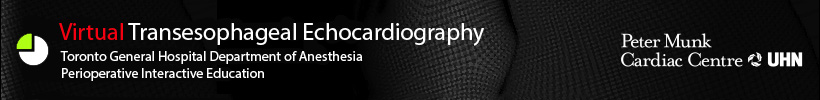Virtual Transesophageal Echocardiography Home Page